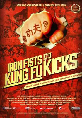 Iron Fists and Kung Fu Kicks (2019) (2019) กังฟูสะท้านปฐพี