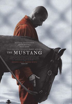 The Mustang (2019) (2019) The Mustang 
