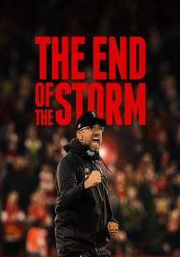 The End of the Storm (2020) (2020) The End of the Storm (2020)