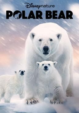 Polar Bear (2022) (2022) Polar Bear (2022)